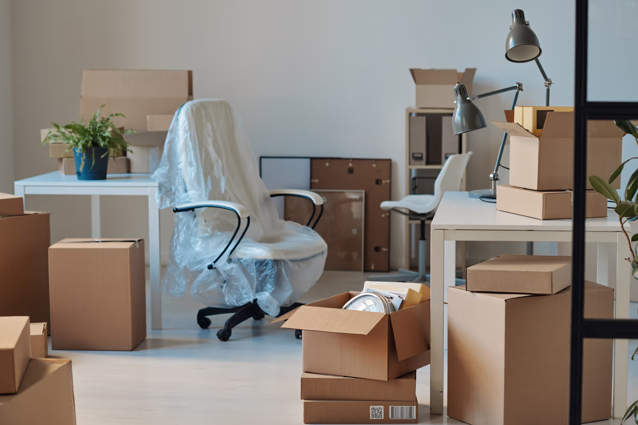 Verpackung Zuger Umzüge